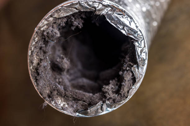 Best Ventilation Cleaning Services  in Clarkdale, AZ