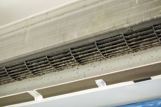 Best Air Duct Cleaning Near Me  in Clarkdale, AZ